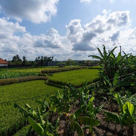 Oemah Joglo Bali Villa Убуд Екстериор снимка
